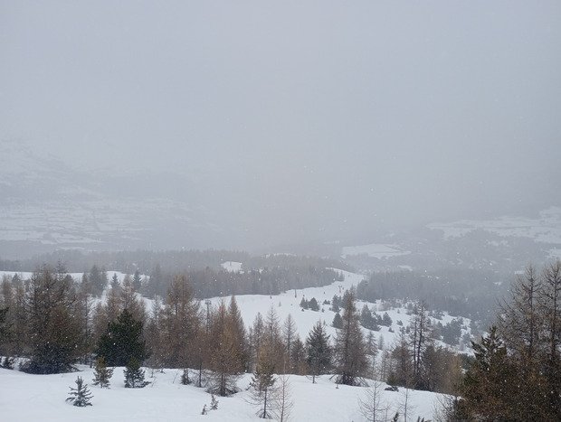 Fallait se lever t&ocirc;t 