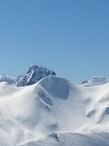 Belle reprise sous les tropiques ☀️