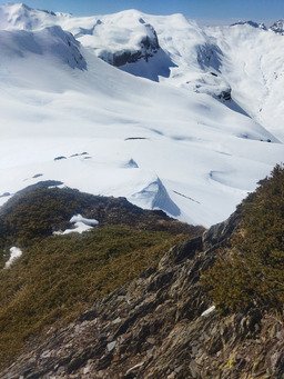 Belle reprise sous les tropiques ☀️