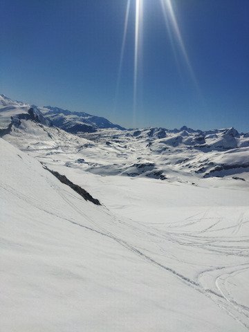 Belle reprise sous les tropiques ☀️