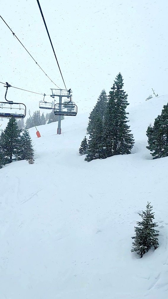 Un jour printemps un jour hiver