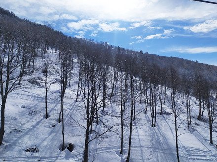 Focus sur Saint Fran&ccedil;ois 