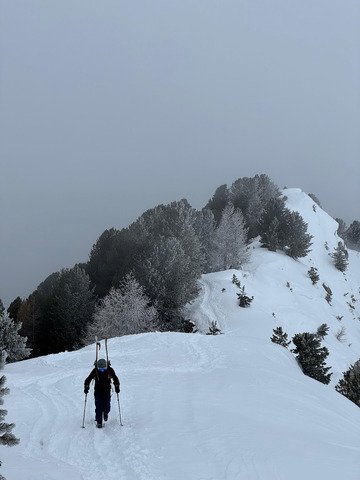 dans la temp&ecirc;te 