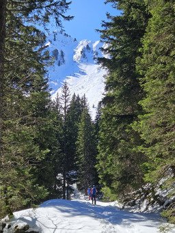Chercher de la froide au Col de Pendet