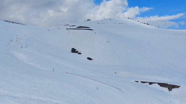 Le printemps est arriv&eacute; !