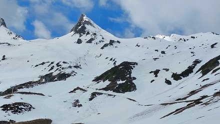 Le printemps est arriv&eacute; !