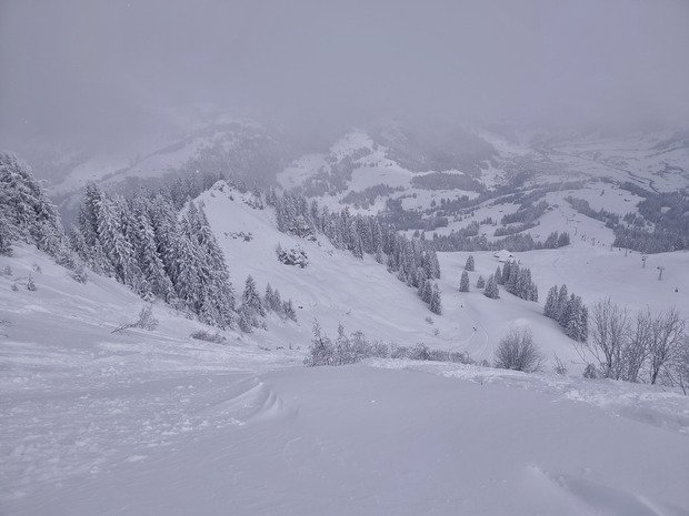 Dans l'ambassade hivernale