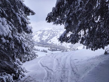 Dans l'ambassade hivernale