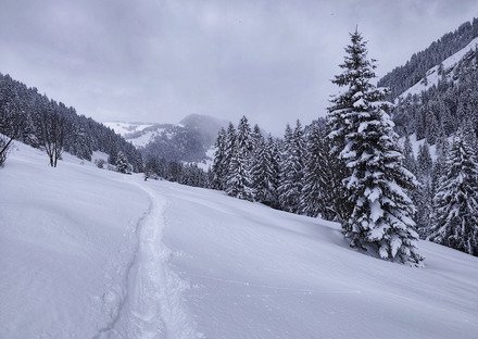Dans l'ambassade hivernale