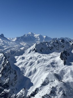 Pile ou face, moquette ou poudre 