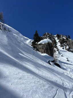 Pile ou face, moquette ou poudre 