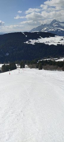 Tip top pour le carving