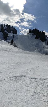 Tip top pour le carving