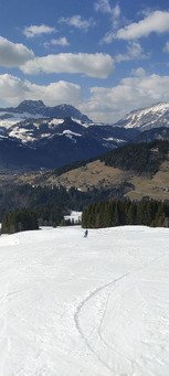 Tip top pour le carving