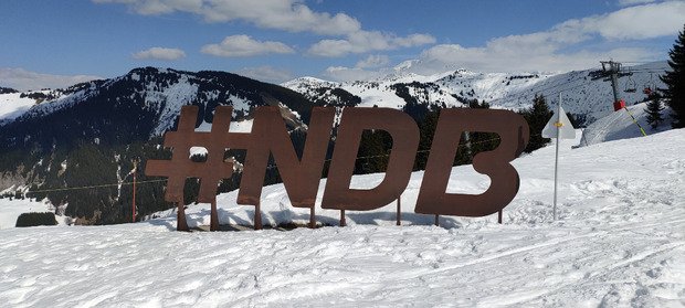 Tip top pour le carving