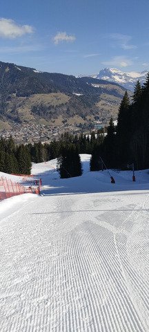 Tip top pour le carving