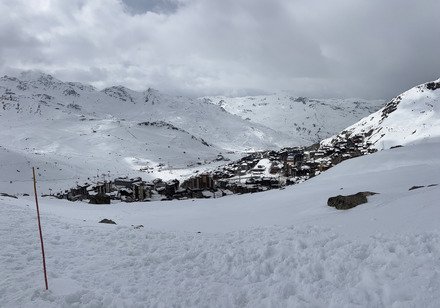 #43, retour dans Les Belleville 🌸🌷🌱🪻🌿