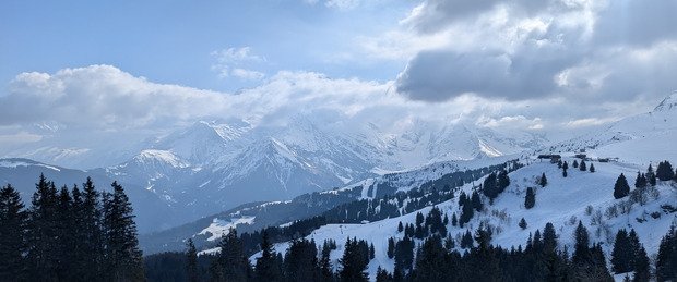 C est le printemps ? 🤔... Pas tout a fait en fait!