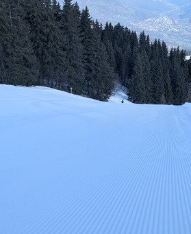 C est le printemps ? 🤔... Pas tout a fait en fait!