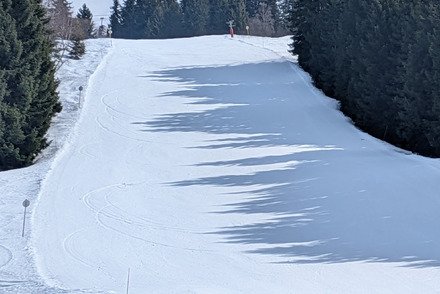 C est le printemps ? 🤔... Pas tout a fait en fait!