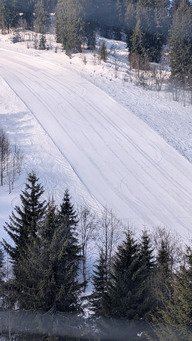 C est le printemps ? 🤔... Pas tout a fait en fait!