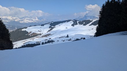 C est le printemps ? 🤔... Pas tout a fait en fait!