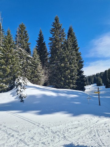 Il y a plus de saisons 
