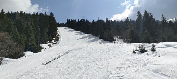 Printanier mais pas trop 