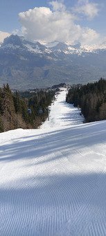 Printanier mais pas trop 