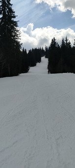 Printanier mais pas trop 