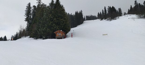 Printanier mais pas trop 