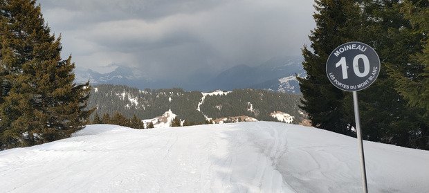 Printanier mais pas trop 