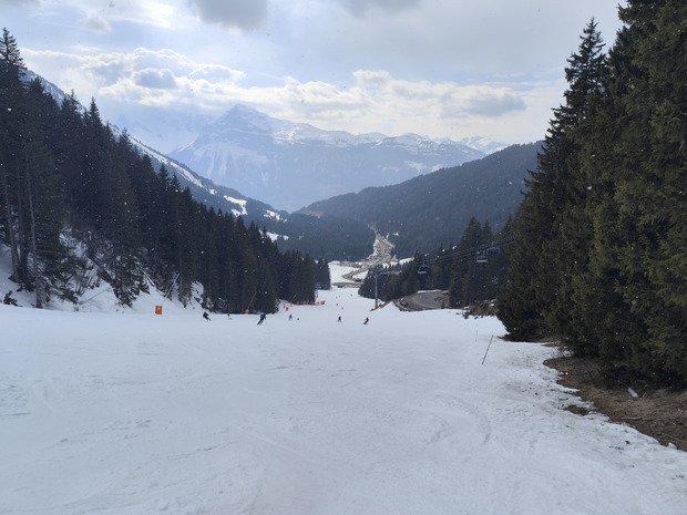 Les 4 saisons ☀️❄️