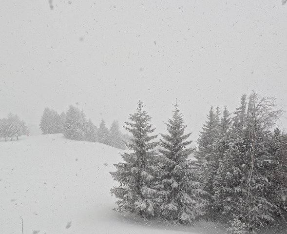 Sortie dans le blizzard 