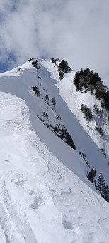 Seul au monde dans Arpingon