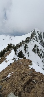 Seul au monde dans Arpingon