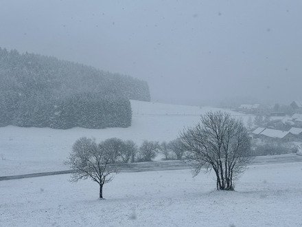 Chutes de neige en cours