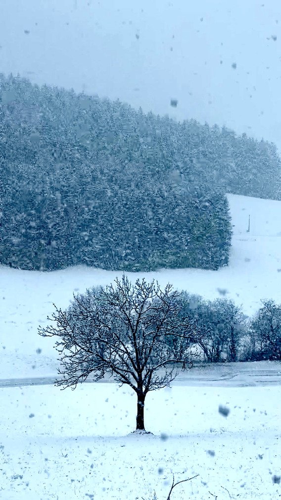 Chutes de neige en cours