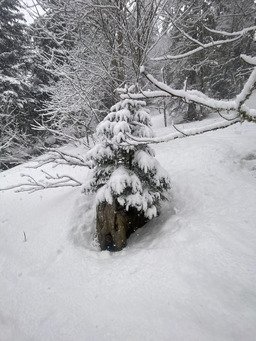 Hokkaido-en-Chartreuse