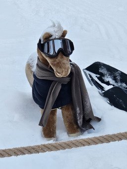 Meilleur d'dans que dehors ? Quand m&ecirc;me pas