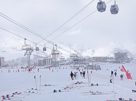 Coq d'or aux Menuires 