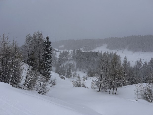 ⛷️🎿 Choisis ton camps 💤☕️