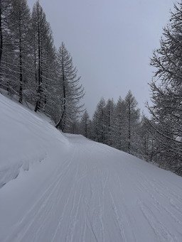 ⛷️🎿 Choisis ton camps 💤☕️