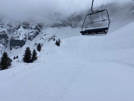 Apr&egrave;s le brouillard, une jolie lumi&egrave;re ✨