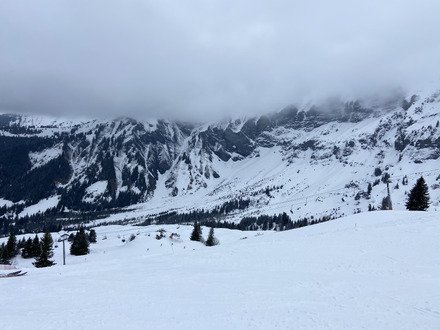 Apr&egrave;s le brouillard, une jolie lumi&egrave;re ✨