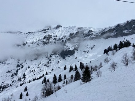 Apr&egrave;s le brouillard, une jolie lumi&egrave;re ✨