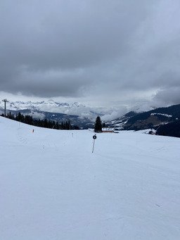Apr&egrave;s le brouillard, une jolie lumi&egrave;re ✨
