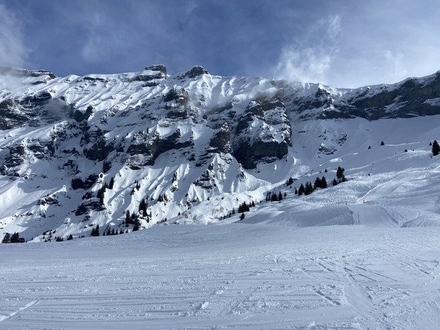 Apr&egrave;s le brouillard, une jolie lumi&egrave;re ✨