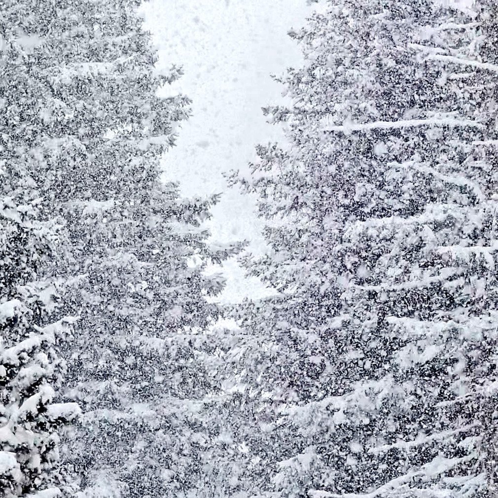 Chamrousse : derniers 850 m&egrave;tres de d&eacute;niv&rsquo; en pleine fra&icirc;che