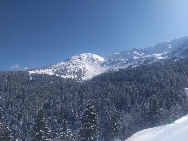 alerte matin&eacute;e scandale